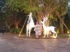 -三亚红色娘子军演艺公园景区