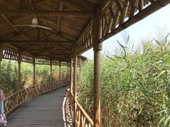 -处女泉风景名胜区