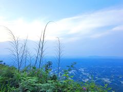 -蜀南竹海景区