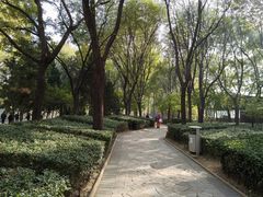 -南长河公园