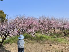 -嬉乐湾休闲旅游区