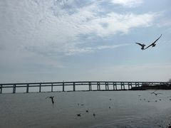 -黑石礁公园