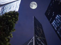 -太平山顶