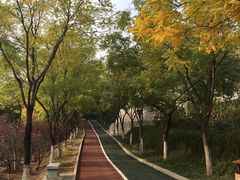 -滨河世纪广场公园