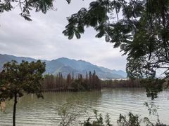 -星湖旅游景区七星岩