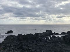 -涉地可支