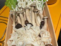 -潮发潮汕牛肉店(东方宝泰店)