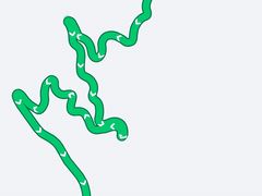 -天女山森林公园