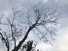 -云幽谷旅游区