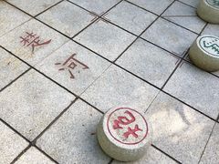 -深圳国际园林花卉博览园