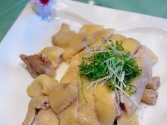 金牌白切鸡-金满楼(天河中路店)