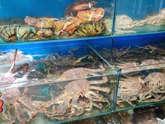 -蚝专家(北滘店)