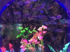 -梦幻海洋王国(吾悦广场张家港店)