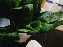 -领鲜风味花雕鸡(马端街店)