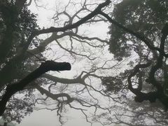 -普陀山风景区-佛顶山