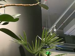 -卡朋西餐(宝安大仟里店)