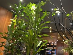 -西堤牛排(北京国瑞店)