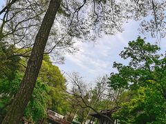 -狼山风景名胜区