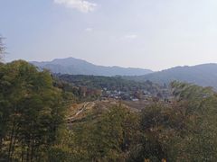 -塔川景区