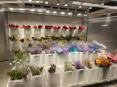 -盒马X会员店(王府井奥莱UP TOWN店)