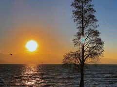 -大理洱海