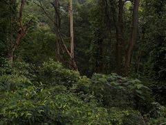 -广州市白云山风景名胜区