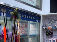 -萌兽医馆·宠物医院·猫骨科(创景店)