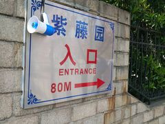 -嘉定紫藤园