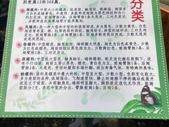 -上海大自然野生昆虫馆(东方明珠·爬宠昆虫探索中心)