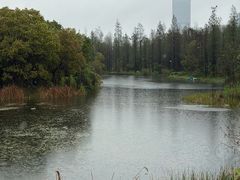 -艾溪湖湿地公园