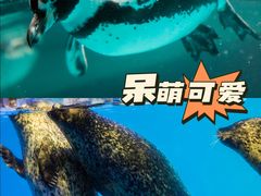 -正佳雨林生态植物园