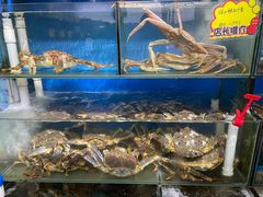 -蚝专家(北滘店)