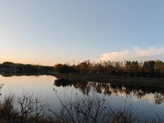 -东郊湿地公园