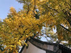 -北京鹫峰国家森林公园