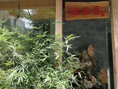 -泡桐树街