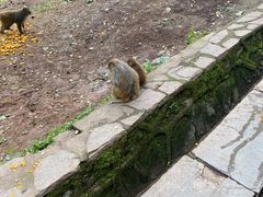 -黔灵山公园-南门售票处