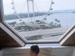 -新加坡丽思卡尔顿美年酒店