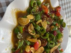 尖椒肥肠-瑜瑜饭馆