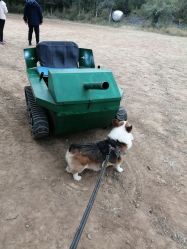 -浅山蜜塘奇妙乐园·亲子营地