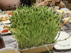 -海底捞火锅(公益西桥店)