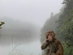 -重庆雨台山风景区