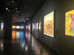 -罗红摄影艺术馆