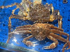 -阿明小菜·海鲜·上海菜(浦建路店)