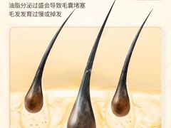 -中国农业大学(西校区)