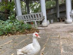 -宝通禅寺