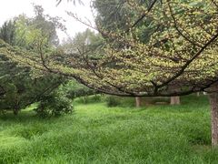 -北京友谊宾馆·俄罗斯餐厅