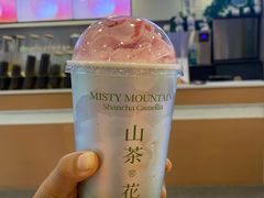 -雾与山茶(大禹城店)