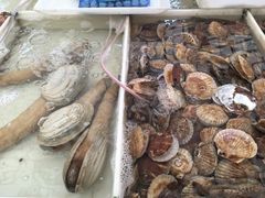 -毕家疃综合市场