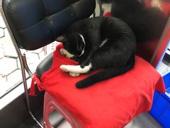 -东方宫中国兰州牛肉拉面(新起街店)