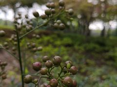 -中国浦东干部学院